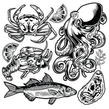 Drawing Vintage Animal Set fish crab octopus shell lemon Seafood illustration Stock Illustration