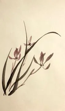 Drawing wild orchids Illustrazione stock