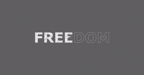 Drawing a word FREEDOM Stock Footage 60604296