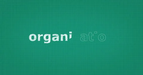 Drawing a word ORGANISATION Video stock 60906741