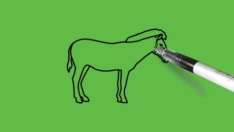 Drawing a zebra in black and blue colour combination on abstract green back Stock Footage 155180867