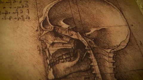 Drawings Of Leonardo 2 Stockbeeldmateriaal 68939337