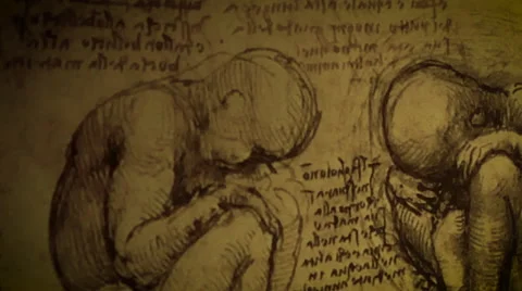 Drawings Of Leonardo Stock Footage 68939335