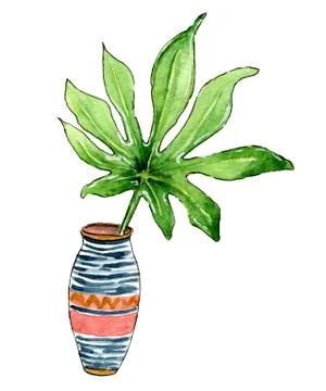 Drawn aralia leaf in a vase Stock Illustration