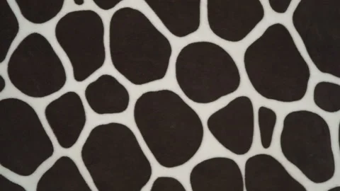 Drawn black spots on white background Stock-Footage 152775670
