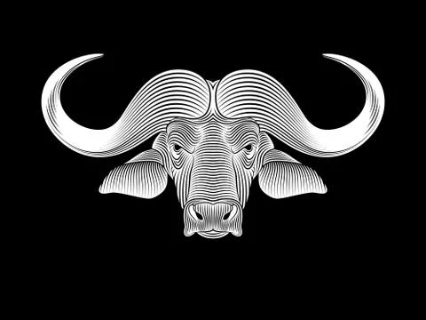 Drawn buffalo head on black background. Portrait of a buffalo Illustrazione stock