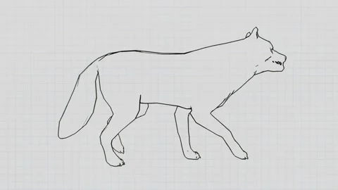 The drawn dog walks forward. Stock Footage 144270544