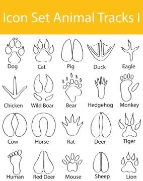 Drawn Doodle Lined Icon Set Animal Tracks I Illustrazione stock