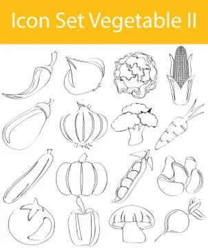 Drawn Doodle Lined Icon Set Vegetable II Stock Illustration