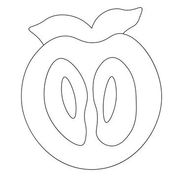 Drawn fruit half persimmon in black and white Illustrazione stock