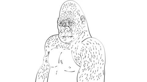Drawn Gorillas (HD) 스톡 동영상 30324099