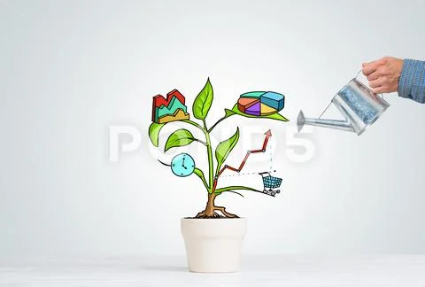 Drawn income tree in white pot for business investment savings and making money Stock Photos