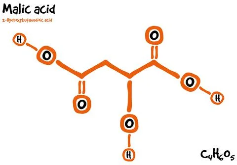 Drawn molecule and formula of Malic acid Stock Illustration