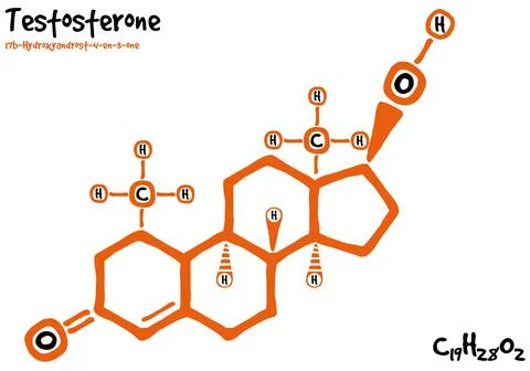 Drawn molecule and formula of Testosterone Stock Illustration