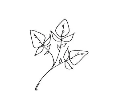 Drawn outline leaf isolated on a white background Stock Illustration