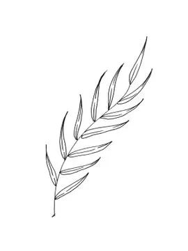 Drawn outline leaf isolated on a white background Stock Illustration