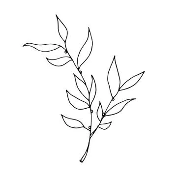 Drawn outline leaf isolated on a white background. Stock Illustration
