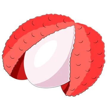 Drawn single asian fruit lychee in color Stock Illustration