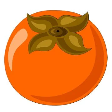 Drawn single fruit asian persimmon in color Stock Illustration