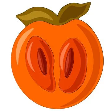 Drawn single fruit half persimmon in color Illustrazione stock