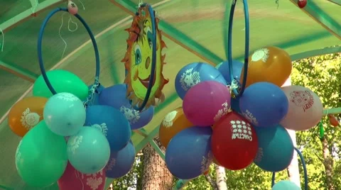 Drawn by the sun Stock Footage 7135862