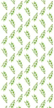 Drawn tree branch on a white background. Pattern. Stock Illustration