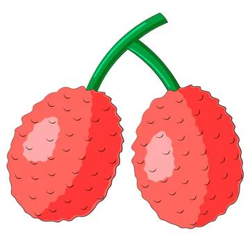 Drawn two asian fruit lychee in color Stock Illustration