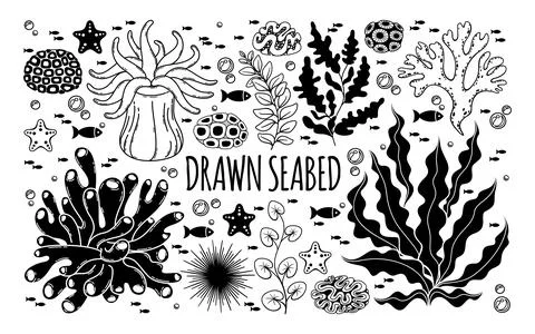 Drawn vector black and white set seabed-3 Stock Illustration