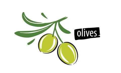 Drawn vector olives on a white background 스톡 일러스트