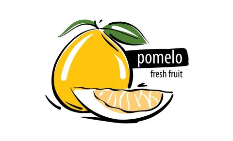 Drawn vector pomelo on a white background Illustrazione stock
