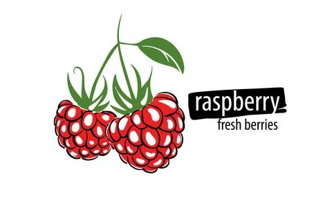 Drawn vector raspberry on a white background Stockillustratie