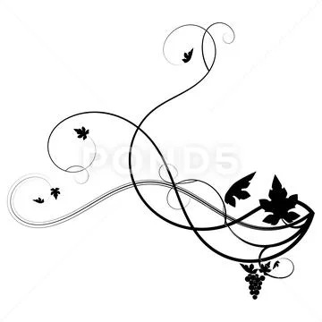 Drawn vine grape weaving on a white background Stock Illustration