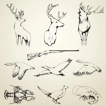 Drawn wild animals collection Stock Illustration