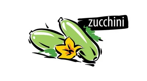 Drawn Zucchini isolated on a white background Stock Illustration