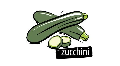 Drawn zucchini isolated on a white background Stock Illustration