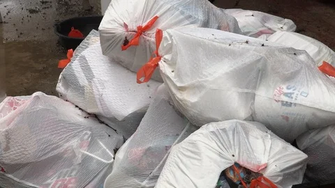 Drawstring Kitchen Trash Bag Being Tossed onto a Pile of Garbage. Video stock 106609605