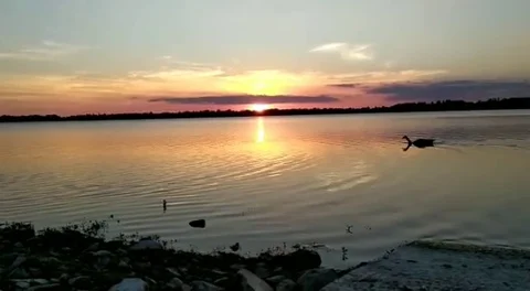 Draycote water at the sunset -4 Video stock 110652350