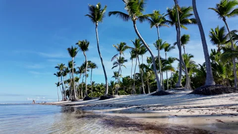 Dream Beach in the Caribbean. Stock Footage 275431469