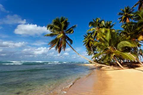 Dream beach Stock Photos