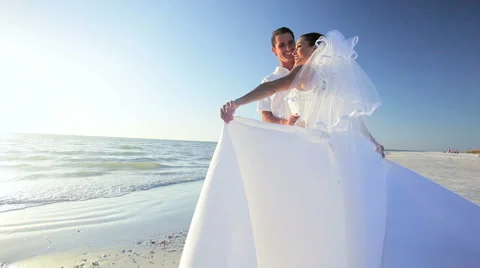 Dream Beach Wedding Video stock 950585