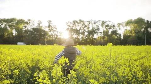 Dream of boy going in the field Video stock 130242929