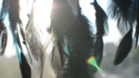 Dream catcher handmade with feathers threads and beads. Stock Footage 89727119