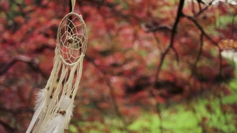 A dream catcher hangs on a tree branch in a gentle breeze Vídeos de archivo 341832686