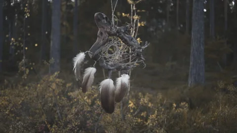 Dream catcher made from tree root and feathers in the forest. Video screensav Stock Footage 252494919