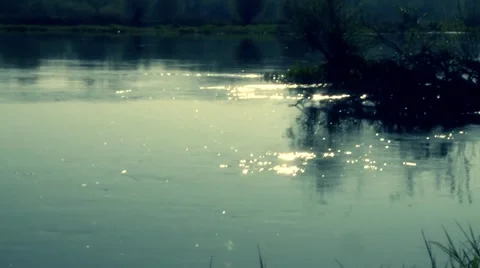 Dream Stock Footage 890976