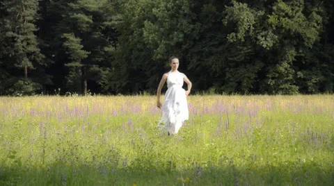 A dream Stock Footage 33009426