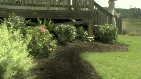 Dream Garden Stock Footage 698951