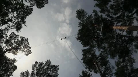 Dream Jump 스톡 동영상 12018972