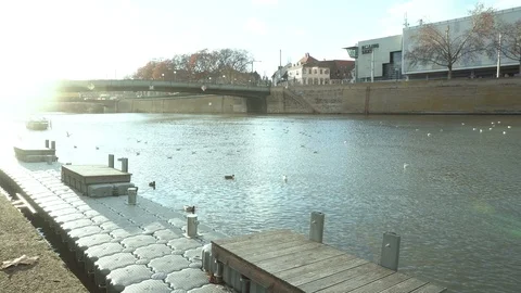 Dream river in the city with sun Video stock 100331861