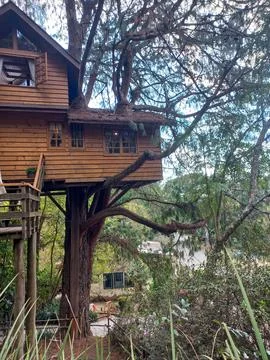 Dream Treehouse Stock Photos